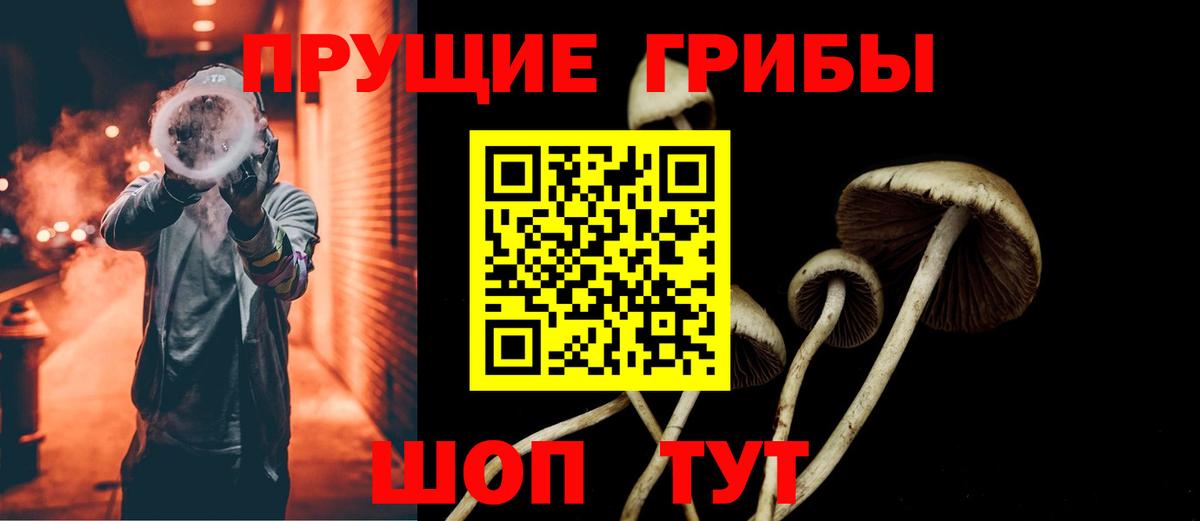 Дмитров  Галлюциногенные грибы MAGIC MUSHROOMS  Вход с VPN 